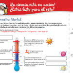 ¡Misión Ciencia en Acción 2025 – Aprende Jugando!