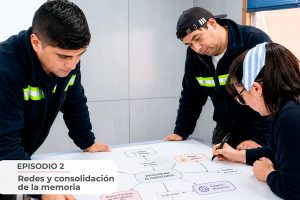 Lee más sobre el artículo Neurocapacitación: 2. Cómo el cerebro organiza y consolida lo que aprende